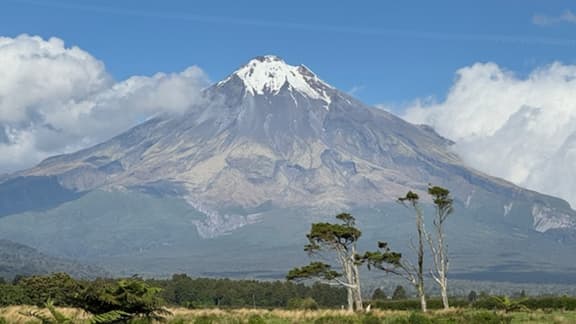 Kopiko Aotearoa